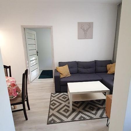 Apartament Na Kochanowskiego ทอรูน ภายนอก รูปภาพ